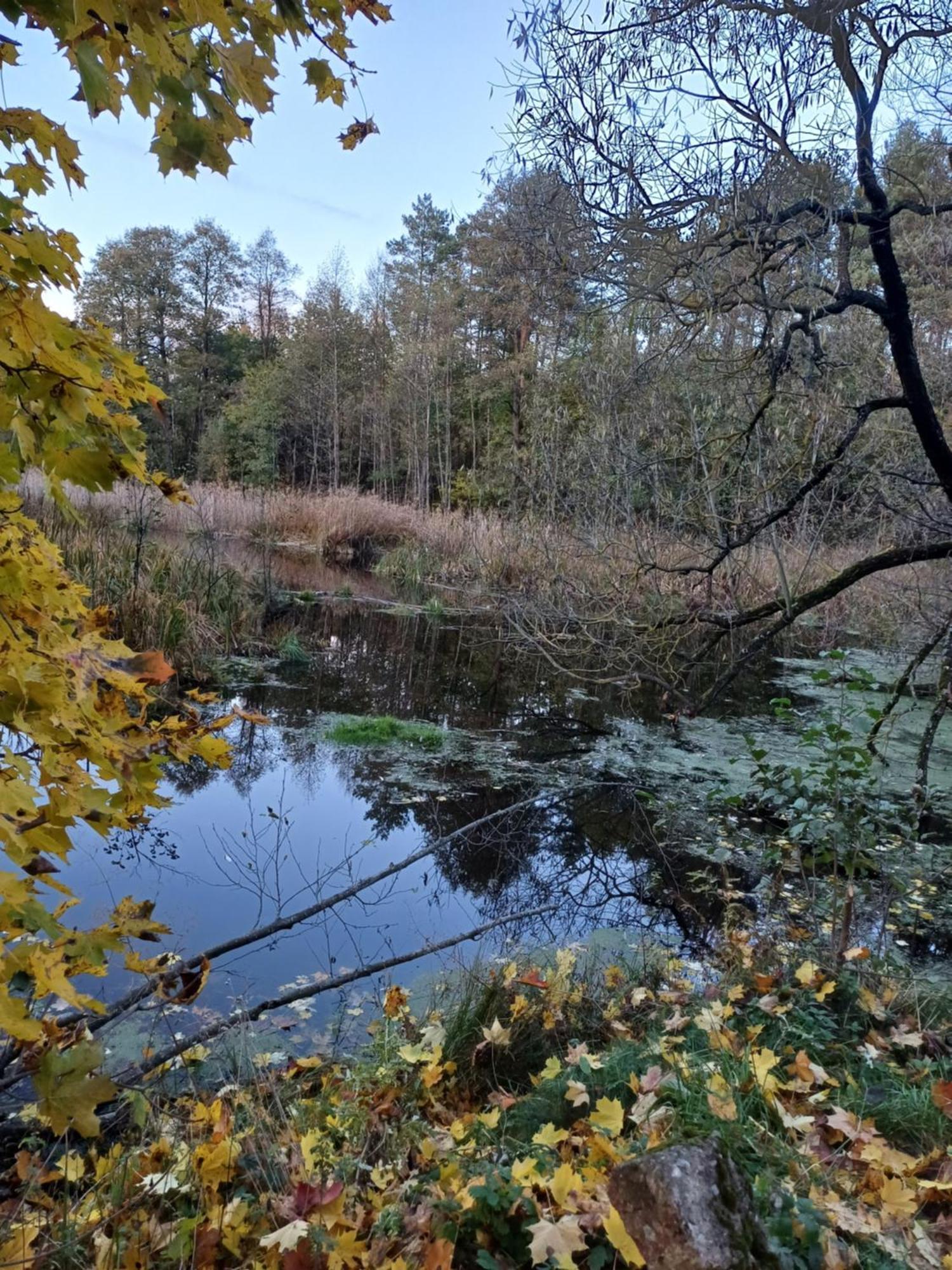 Hotel Osrodek Wypoczynkowy Koziol Kolno  Esterno foto