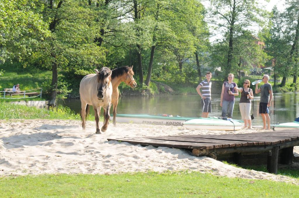 Hotel Osrodek Wypoczynkowy Koziol Kolno  Esterno foto